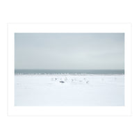 Seagulls in the Snow beach (Print Only)