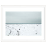 Seagulls in the winter snow beach thumbnail