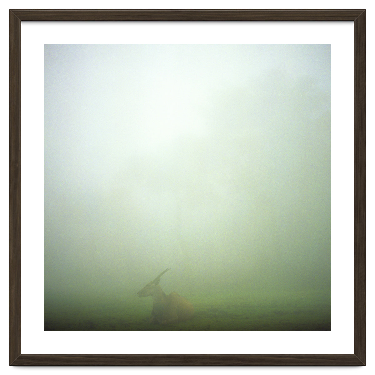 Silence of breath - 06