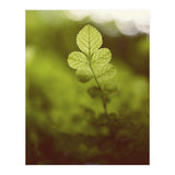 Out of the green (Print Only) thumbnail