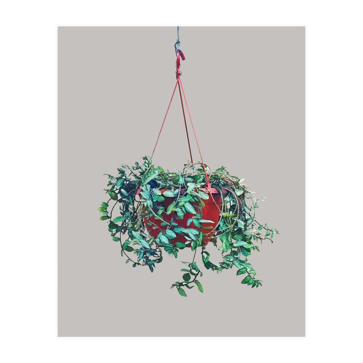 Hanging Plant (Print Only)