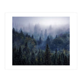 The Visionary Echo (Print Only) thumbnail
