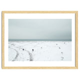 Seagulls in the winter snow beach thumbnail