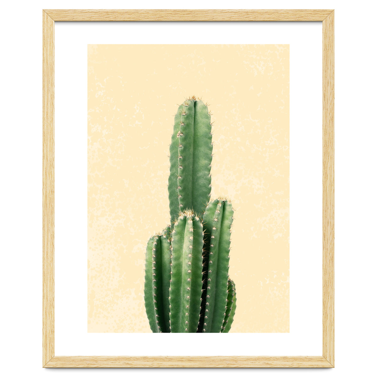 Tall Cactus, Minimal Desert Saguaro Art