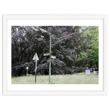Signs at the corner of the street thumbnail