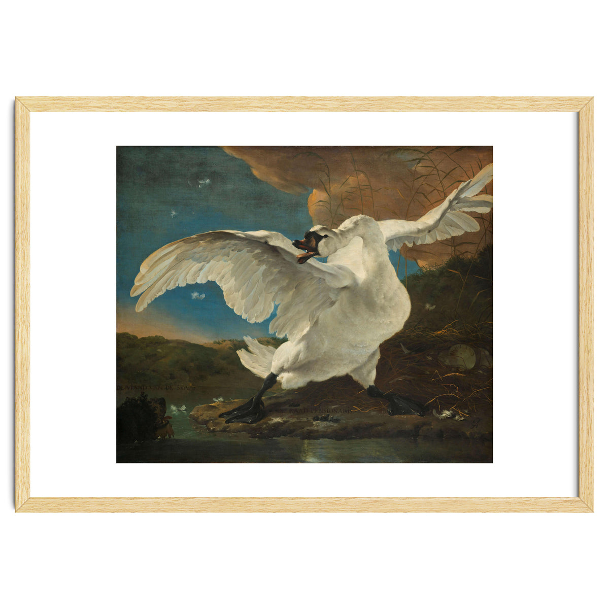 The Threatened Swan. The Threatened Swan; Interpreted later as an Allegory on Johan de Witt. Dati...