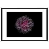 Backyard Flowers No 116 Color Version thumbnail
