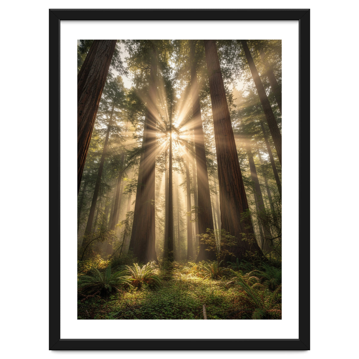 Ethereal Redwood Sanctuary: Sunbeams in the Ancient Forest