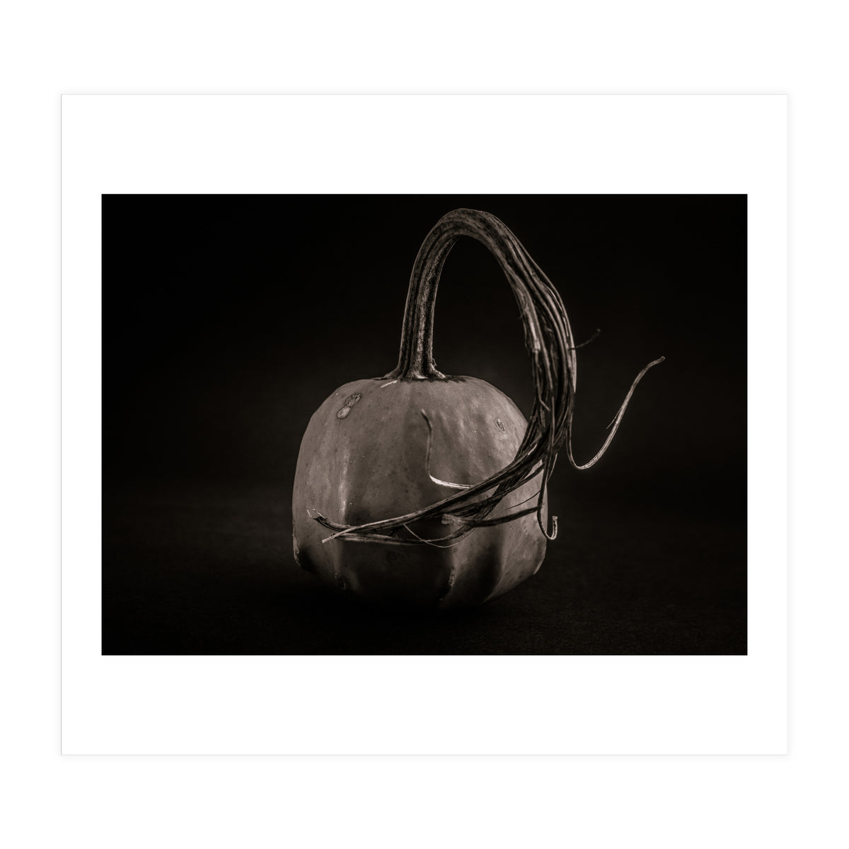 Gourds No 14 (Print Only)