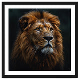Majestic Lion Portrait In Gentle Rain thumbnail