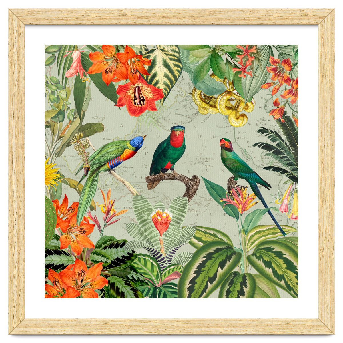 Exotic Parrots Jungle Landscape