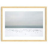 Seagulls in the winter snow beach thumbnail
