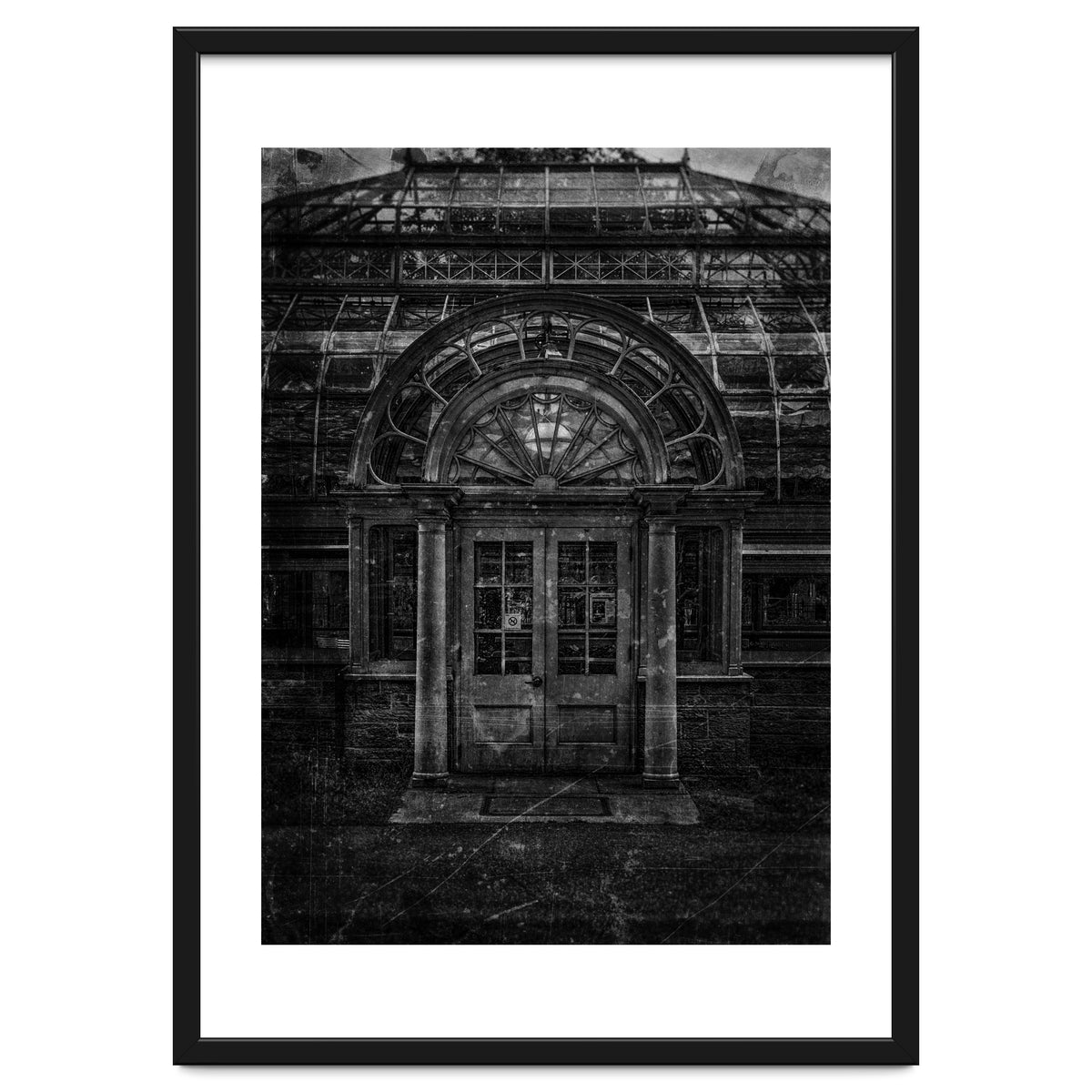 Allan Gardens Conservatory Palm House No 5 Old Film Version