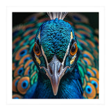 Majestic Peacock  (Print Only) thumbnail