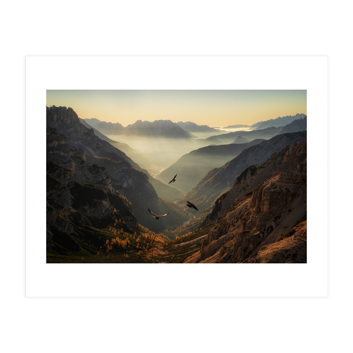 Fly away (Print Only)