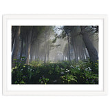 Art In The Forest thumbnail