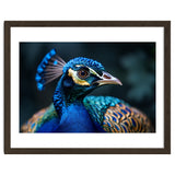 Peacock Head Close Up Majestic Blue Bird thumbnail