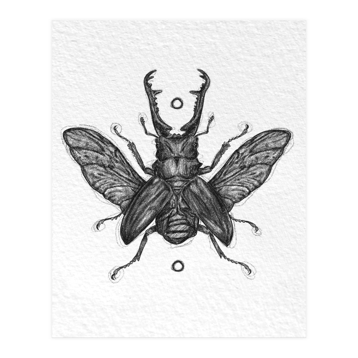 Giraffen Hirschkäfer (Print Only)