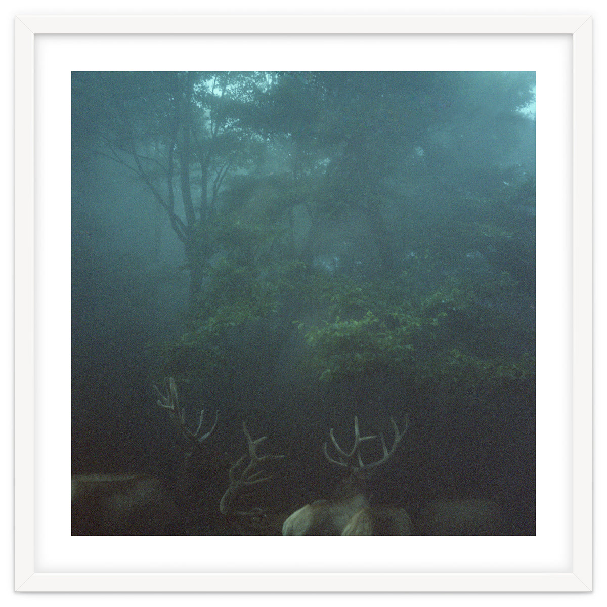 Silence of breath - 12