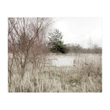 Abandoned Sofa in the middle of nowhere (Print Only) thumbnail