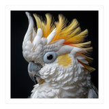 Close Up Cockatoo Portrait Yellow Crested Bird (Print Only) thumbnail