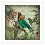Tropical Bird Nostalgia thumbnail