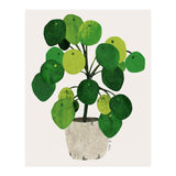 Pilea Plant (Print Only) thumbnail