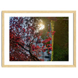 Autumn’s Embrace thumbnail