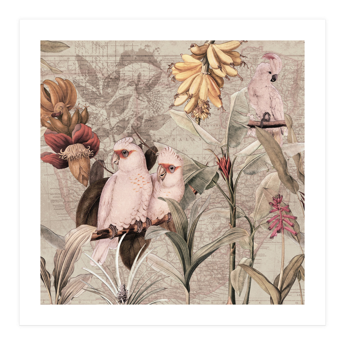 Cockatoo Exotic Bird Jungle  (Print Only)