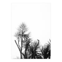 Miminalist Palm (Print Only)
