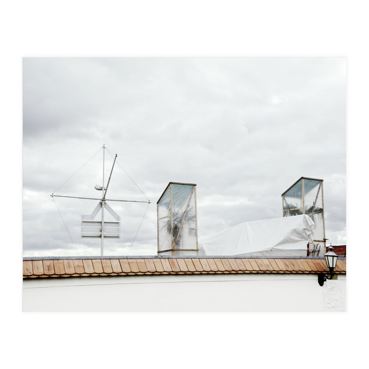 Palm tree waiting for summer (Print Only)