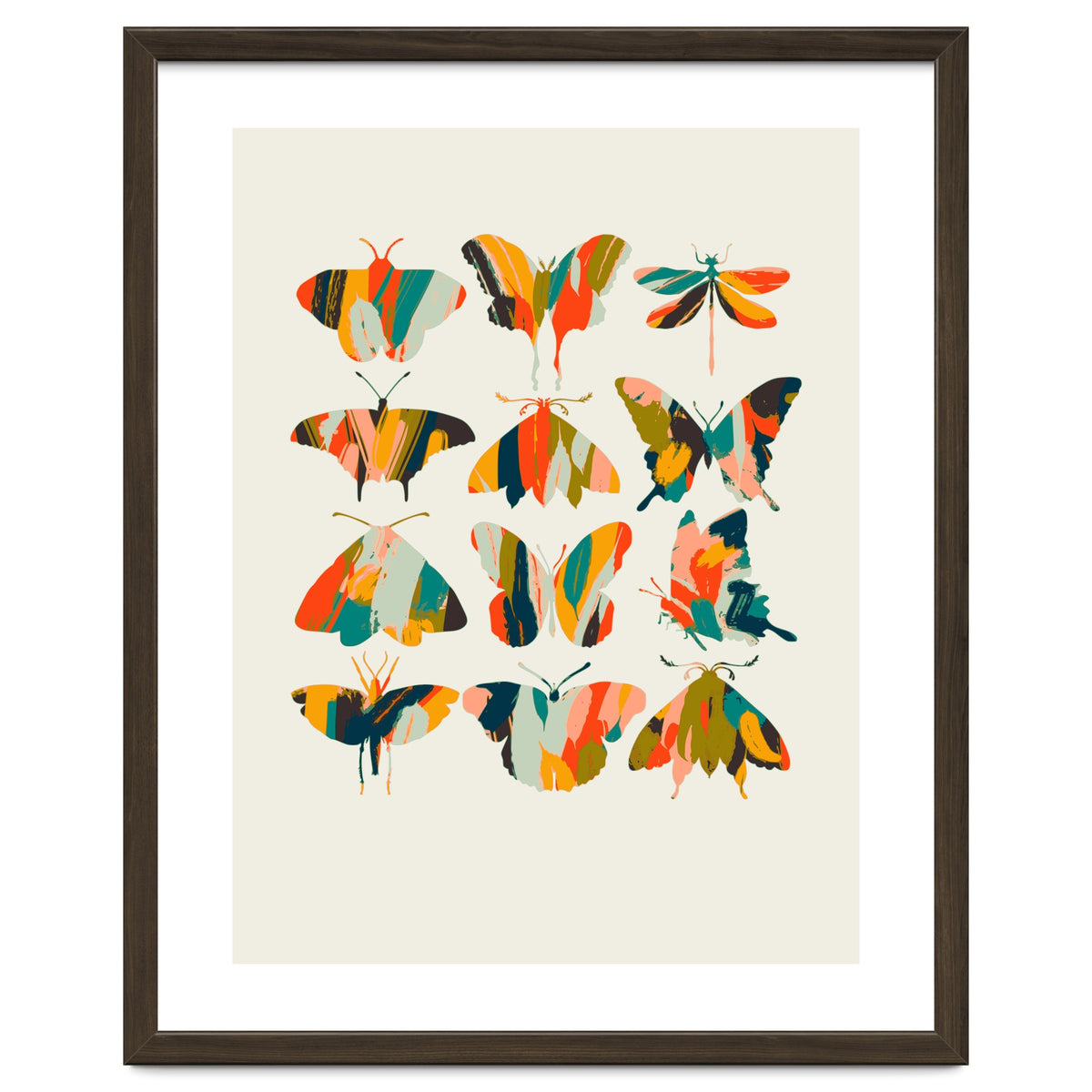 Colorful Butterflies