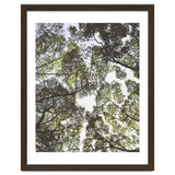 Mother Nature thumbnail