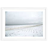 Winter grass in snow beach thumbnail