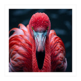 Close Up Flamingo Face With Water Droplets (Print Only) thumbnail