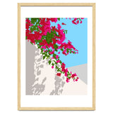 Bougainvillea Blossom, Greece Tropical Summer Travel, Santorini Architecture White Buildings Floral Nature Garden thumbnail