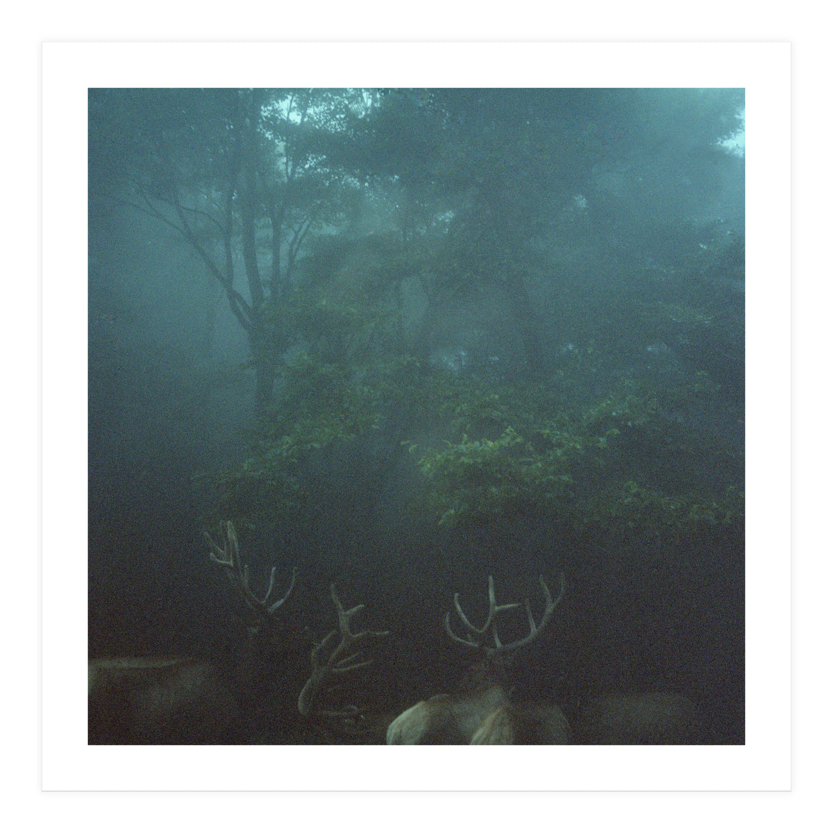 Silence of breath - 12 (Print Only)