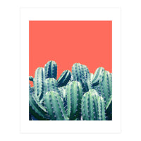 Cactus On Coral (Print Only)