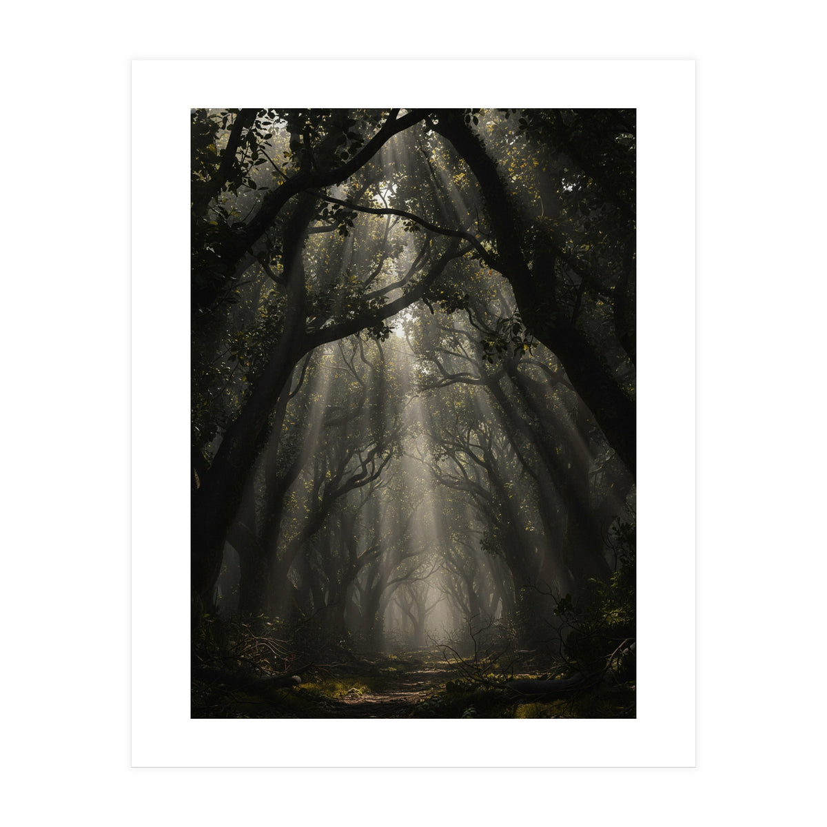 Enchanted Canopy: Mystical Forest Path (Print Only)