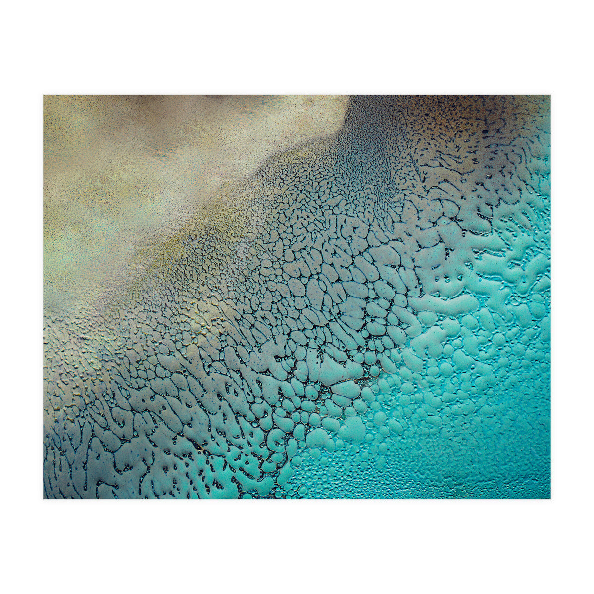 Earthbound (Print Only)