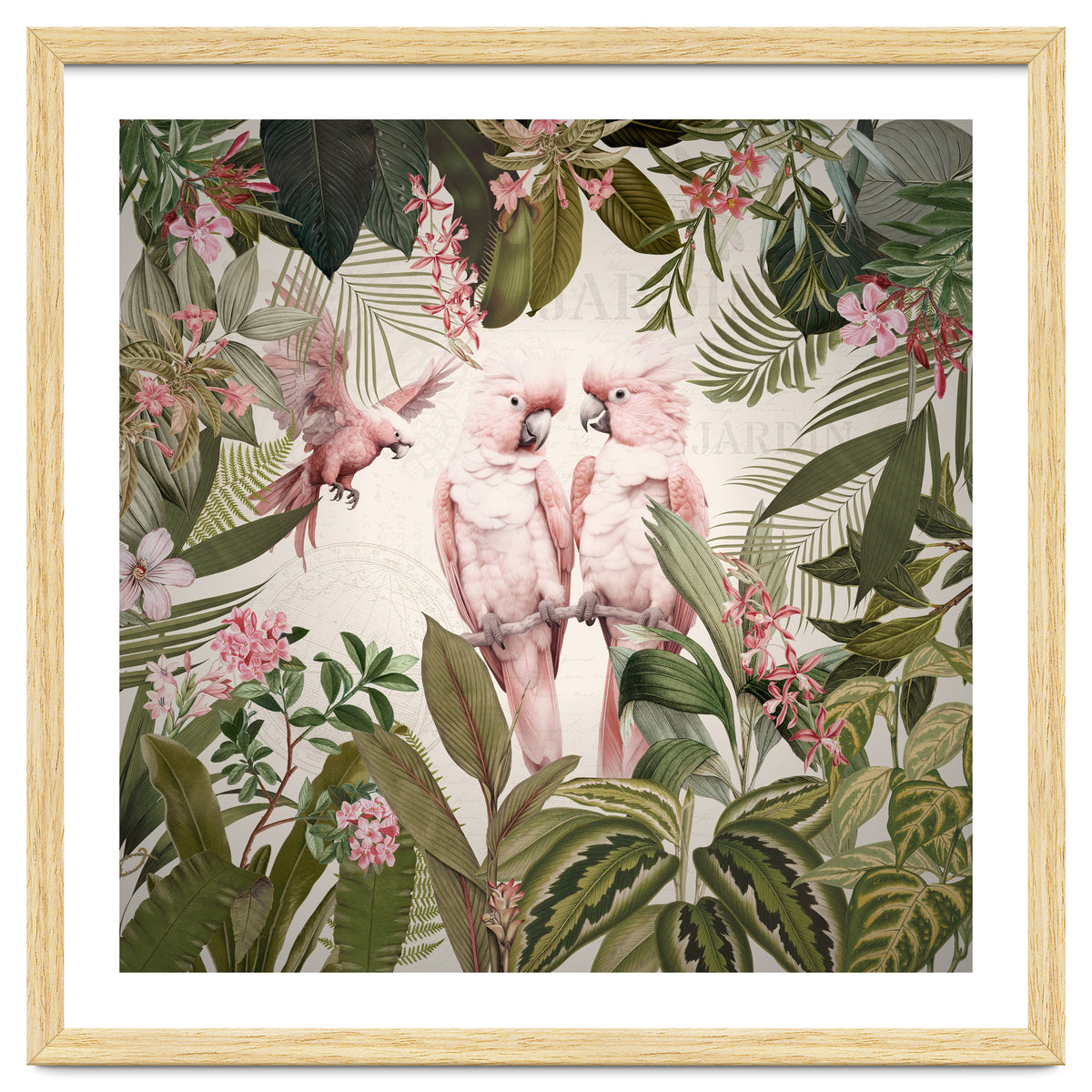 Pink Parrots Exotic Rainforest