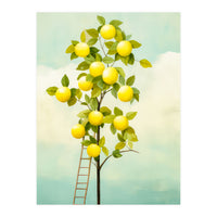 Lemon Tree  (Print Only)