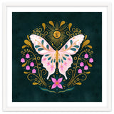 Butterfly And Sun thumbnail