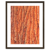 Tree Bark thumbnail