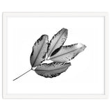 Branches and Leaves, 2016, 1 thumbnail