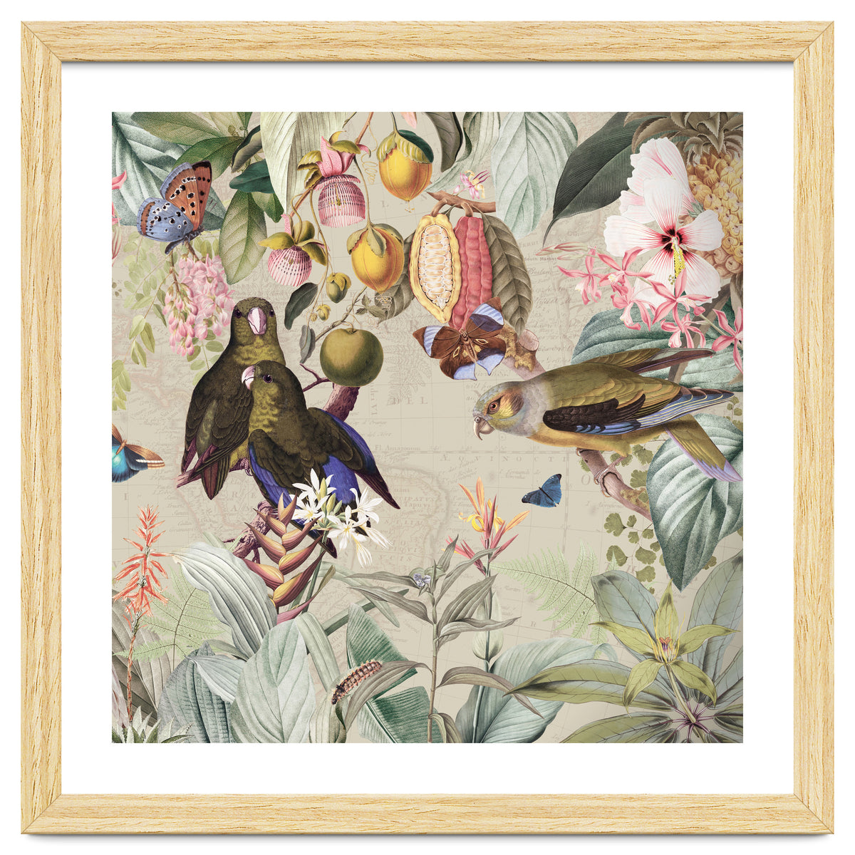 Colorful Parrots And Butterflies In Flower And Fruit Tropical Jungle