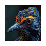 Close Up Of A Colorful Bird Head And Eye (Print Only) thumbnail