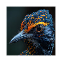 Close Up Of A Colorful Bird Head And Eye (Print Only)