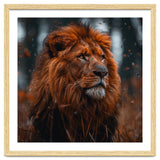 Majestic Lion King Of The Jungle Close Up Portrait thumbnail