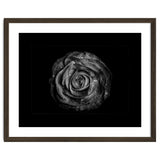 Backyard Flowers In Black And White No 72 with Border thumbnail